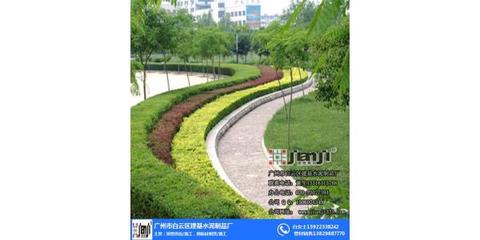 花都區(qū)校園園林綠化施工 建基水泥鑄就安全高效的綠色工程