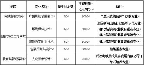 武漢信息傳播職業(yè)技術(shù)學(xué)院2021年單招招生專業(yè)、計(jì)劃、學(xué)費(fèi)標(biāo)準(zhǔn)分別是?
